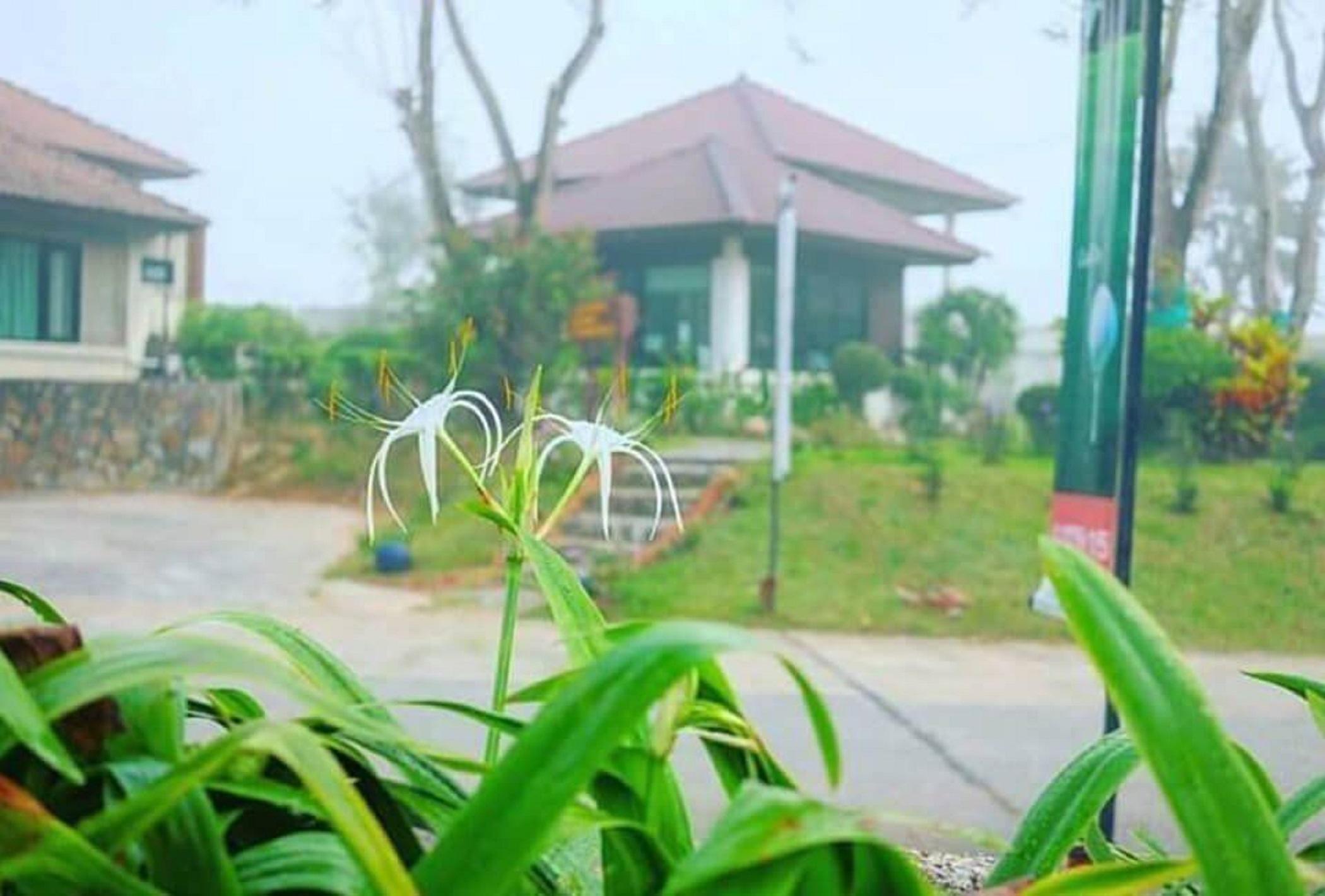 Pattaya Country Club & Resort Ban Pong  Zewnętrze zdjęcie
